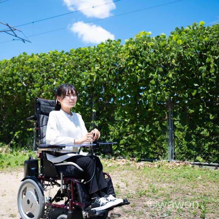 トップページ